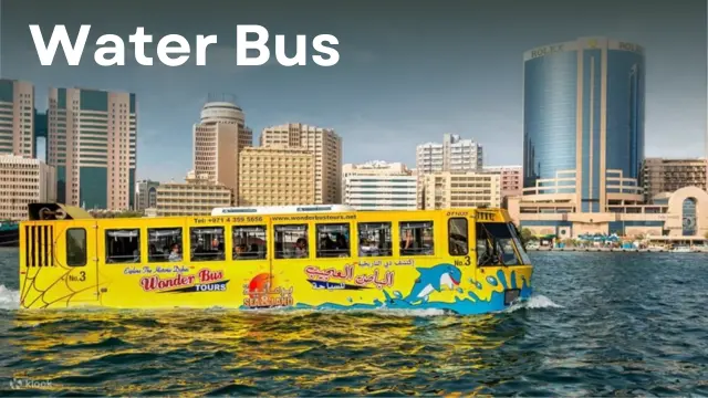 Water Bus - Wonder Bus