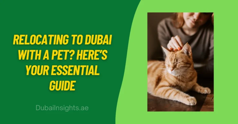 Relocating to Dubai with a Pet Here’s Your Essential Guide