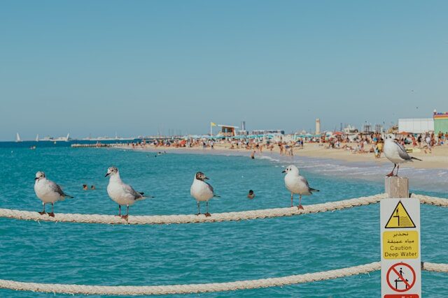 Coast in Dubai
